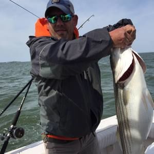 Meet your Posher, Kyle